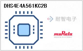 DHS4E4A561KC2B
