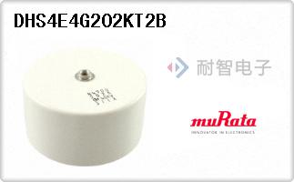 DHS4E4G202KT2B