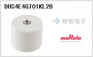 DHS4E4G701KL2B