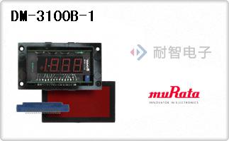 DM-3100B-1