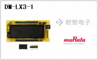 DM-LX3-1