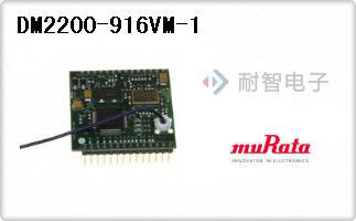 DM2200-916VM-1