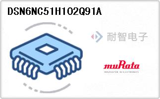 DSN6NC51H102Q91A