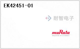 EK42451-01