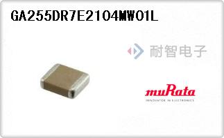 GA255DR7E2104MW01L