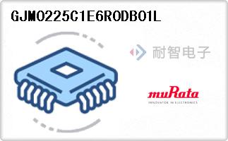 GJM0225C1E6R0DB01L