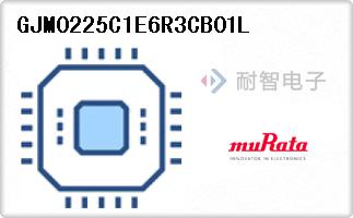 GJM0225C1E6R3CB01L