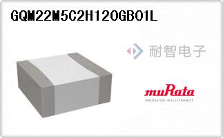 GQM22M5C2H120GB01L
