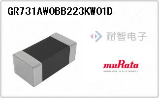 GR731AW0BB223KW01D