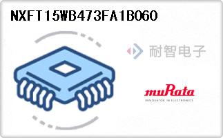 NXFT15WB473FA1B060