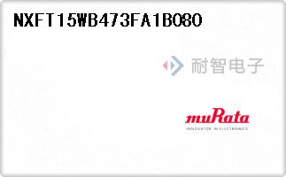 NXFT15WB473FA1B080
