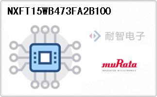 NXFT15WB473FA2B100