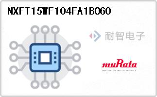 NXFT15WF104FA1B060
