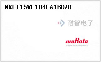 NXFT15WF104FA1B070