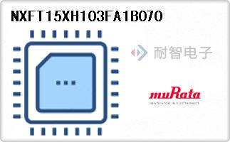 NXFT15XH103FA1B070