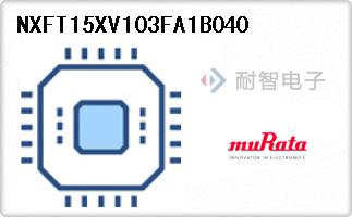 NXFT15XV103FA1B040