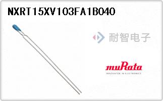 NXRT15XV103FA1B040