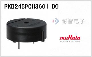 PKB24SPCH3601-B0