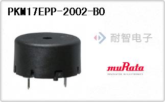 PKM17EPP-2002-B0