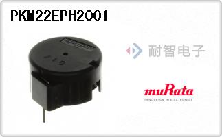 PKM22EPH2001
