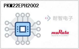 PKM22EPH2002