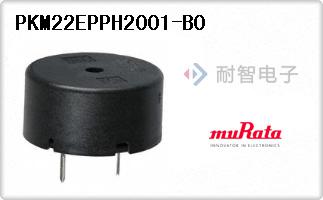 PKM22EPPH2001-B0