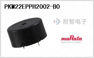 PKM22EPPH2002-B0