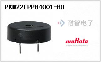 PKM22EPPH4001-B0