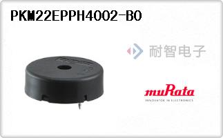 PKM22EPPH4002-B0