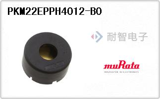 PKM22EPPH4012-B0