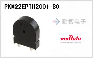 PKM22EPTH2001-B0