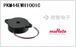 PKM44EWH1001C