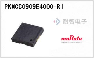 PKMCS0909E4000-R1