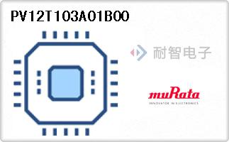PV12T103A01B00