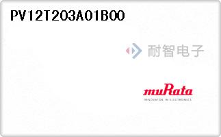 PV12T203A01B00