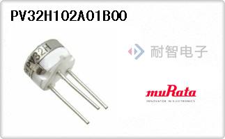 PV32H102A01B00