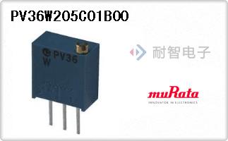 PV36W205C01B00