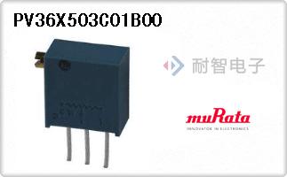 PV36X503C01B00