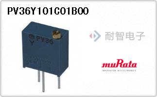 PV36Y101C01B00