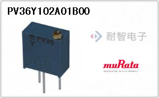 PV36Y102A01B00