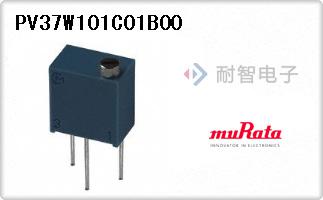 PV37W101C01B00
