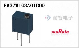 PV37W103A01B00