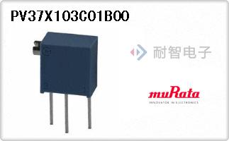 PV37X103C01B00