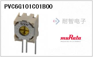 PVC6G101C01B00