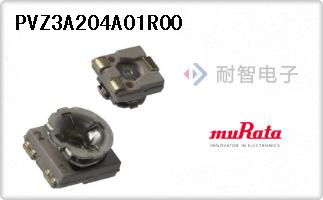 PVZ3A204A01R00