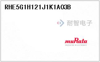 RHE5G1H121J1K1A03B