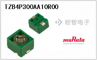 TZB4P300AA10R00