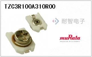 TZC3R100A310R00
