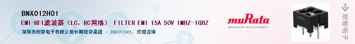 BNX012H01Ӧ-ǵ
