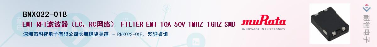 BNX022-01BӦ-ǵ